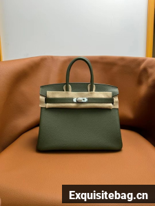 Hermes Birkin Bag Leather togo 5570-8