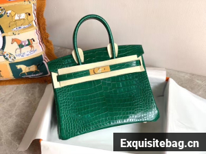 Hermes Birkin Bag Original Leather crocodile HBK35 green