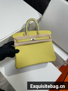 Hermes Birkin Bag Swift Leather 6694-10