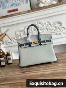 Hermes Birkin Bag togo Leather 2835-1