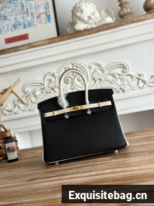 Hermes Birkin Bag togo Leather 2835-10