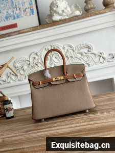 Hermes Birkin Bag togo Leather 2835-11