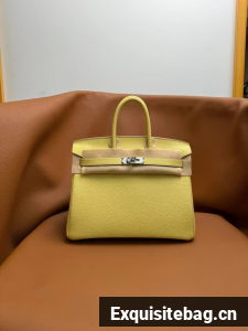 Hermes Birkin Bag togo Leather 5570-14