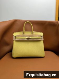 Hermes Birkin Bag togo Leather 5570-15