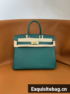Hermes Birkin Bag togo Leather 5570-16