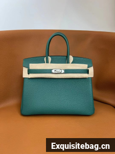 Hermes Birkin Bag togo Leather 5570-17