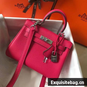 Hermes Birkin Togo Leather 22590 rose