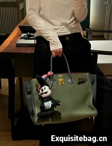 Hermes Birkin Tote Bag Original Togo Leather 6635 Khaki & camel