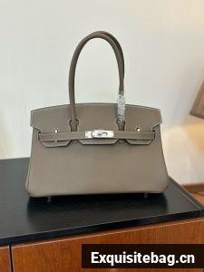 Hermes Birkin evercolor 66541 gray
