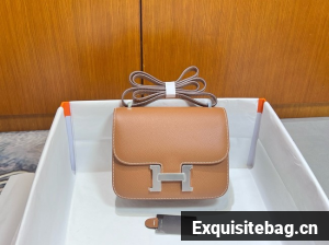 Hermes Constance Bag Espom Leather H73359-7