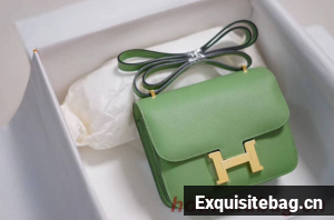 Hermes Constance Bag Togo Leather H9999 green