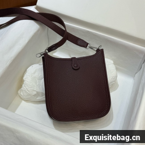 Hermes Neo Evelyne 16 shoulder bag H08454-5