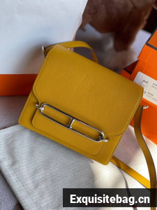 Hermes Roulis 19cm Evercolor 9D H9003 yellow&Silver