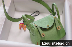 Hermes mini Lindy Togo Leather Bag LD19 green&gold-Tone Metal