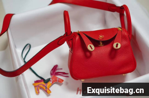 Hermes mini Lindy Togo Leather Bag LD19 red&gold-Tone Metal