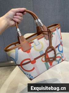 Hermes steeple bag 5062-11