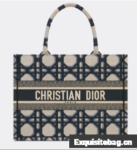 MEDIUM DIOR BOOK TOTE Beige and Blue Macrocannage Embroidery M1296ZZA