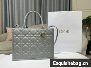 MEDIUM DIOR BOOK TOTE Calfskin M1296ZG gray