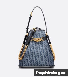 Medium Cest Dior Bag Blue Denim Dior Oblique Jacquard M2271U