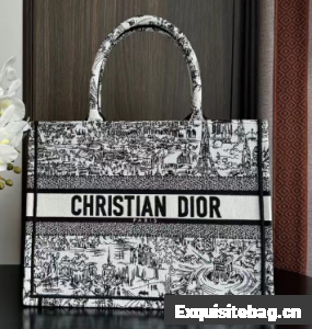 Medium Dior Book Tote White and Black Paris Allover Embroidery M1296ZEG