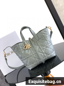 Medium Dior Toujours Vertical Tote Bag Macrocannage Calfskin M2836OSNW Gray