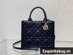 SMALL DIOR BOOK TOTE Black Calfskin M1295ZG