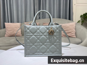 SMALL DIOR BOOK TOTE Calfskin M1295ZG gray