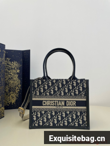 SMALL DIOR BOOK TOTE Ecru and Blue Dior Oblique Embroidery M1265ZRI