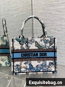 SMALL DIOR White and Pastel Midnight Blue Toile de Jouy Mexico Embroidery M1296ZRG