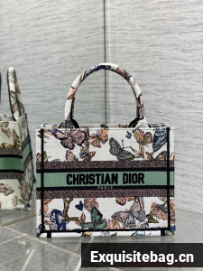 SMALL DIOR White and Pastel Midnight Blue Toile de Jouy Mexico Embroidery M1296ZRf