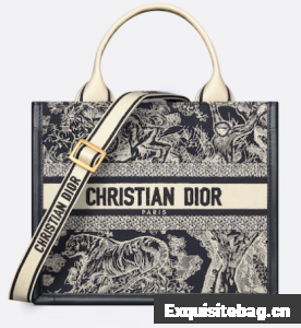 Small Dior Book Tote Blue and Ecru Toile de Jouy Reverse Embroidery and Blue M1325CET
