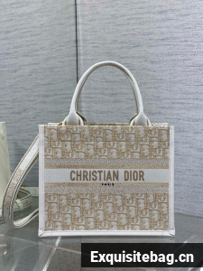 Small Dior Book Tote Dior Oblique Embroidery and Calfskin M1325CZ-2