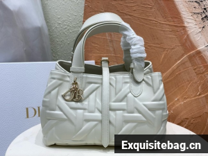 Small Dior Toujours Bag Graphic Cannage M2822O white
