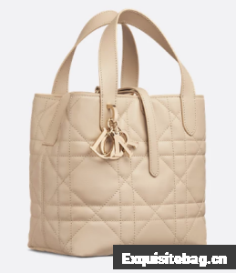 Small Dior Toujours Vertical Tote Bag Beige Macrocannage Calfskin M2835OSNW