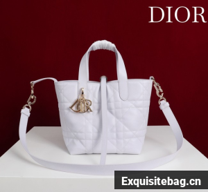 Small Dior Toujours Vertical Tote Bag M2835OSNW white