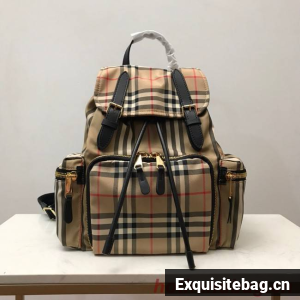 Burberry Backpack Fabric 80151 brown