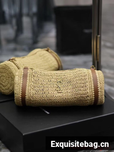 SAINT LAURENT SADE SMALL TUBE BAG IN RAFFIA AND LEATHER Y996704 apricot