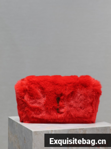 SAINT LAURENT SMALL REVERSIBLE KATE W1000 red