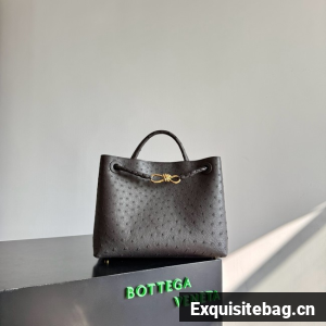 Bottega Veneta Andiamo 766016 Fondant