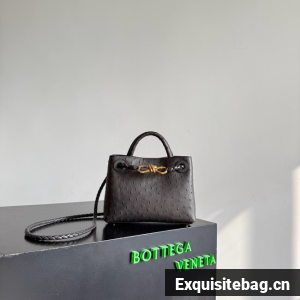 Bottega Veneta Mini Andiamo Sapele 805232 Fondant