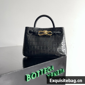 Bottega Veneta Mini Andiamo alligator leather 805232 black