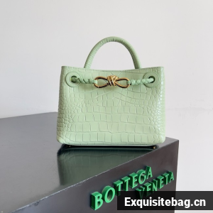 Bottega Veneta Mini Andiamo alligator leather 805232 light green