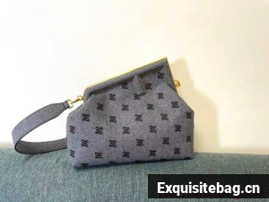 FENDI FIRST MEDIUM flannel bag with embroidery 8BP127A gray