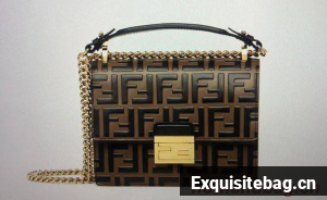 Fendi Original Leather Bag FF8965 Brown