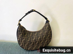 Fendi graphy Small fabric bag 8BR798A brown
