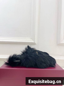 Gucci Shoes GUS00893