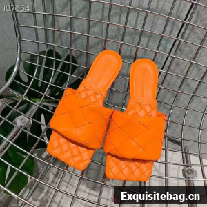 Bottega Veneta BV207HSC-6