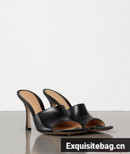 Bottega Veneta Shoes BV2048 Black