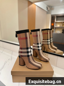BurBerry Ankle Boot 87216-2
