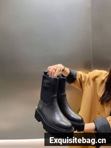 Celine Shoes CES00038